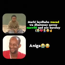 Waligayba ma arag😭😂#vewsproblem🥺 #followme . . .. . . .. .#foryou😻✨🙂😽🥀🌸😚😊✨🙂😻🌸 #viespr🙂😭foryou😻💕 #viral 