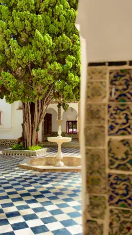 Musée Bardo - Alger🇩🇿                             #algeria #musee #bardo #fyp #dz 