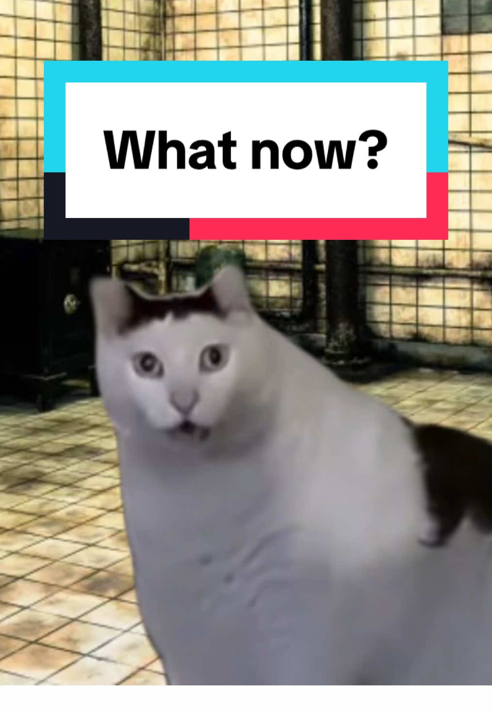 If I was kidnapped by jigsaw, it would be a short run. #meme #memes #funny #halloween 