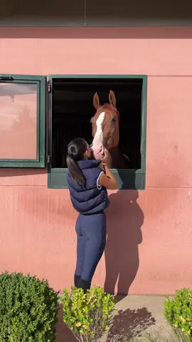 Los sueños se hacen realidad 🫰🏽✨ #equestrian #equestrianlife #horses #caballos #dreams 