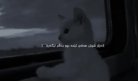 لێگەرێ با بۆ لای خوا بێت.؛🖤#acc #foryoupage #foryoaya #rasty_lak #fipシ 