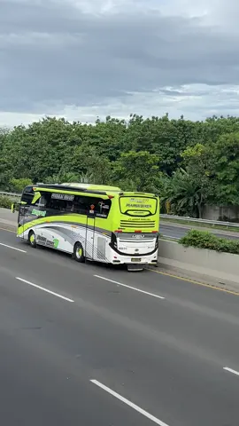 Katak ijo🚀 #fyppppppppppppppppppppppp 