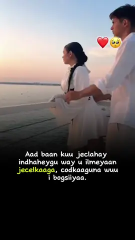 #CapCut I made this amazing video with CapCut. Open the link to try it out: capcut.com/tools/desktop-video-editor