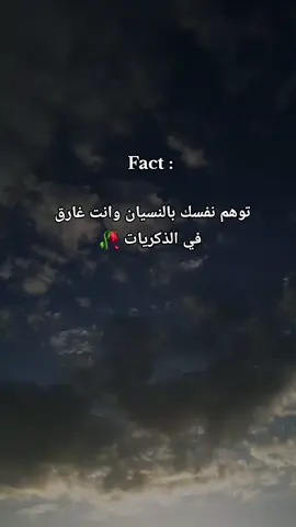#تهلاو_ولاد_بلادي🇩🇿💛👌  #algeria #dz  #شعب_الصيني_ماله_حل😂 