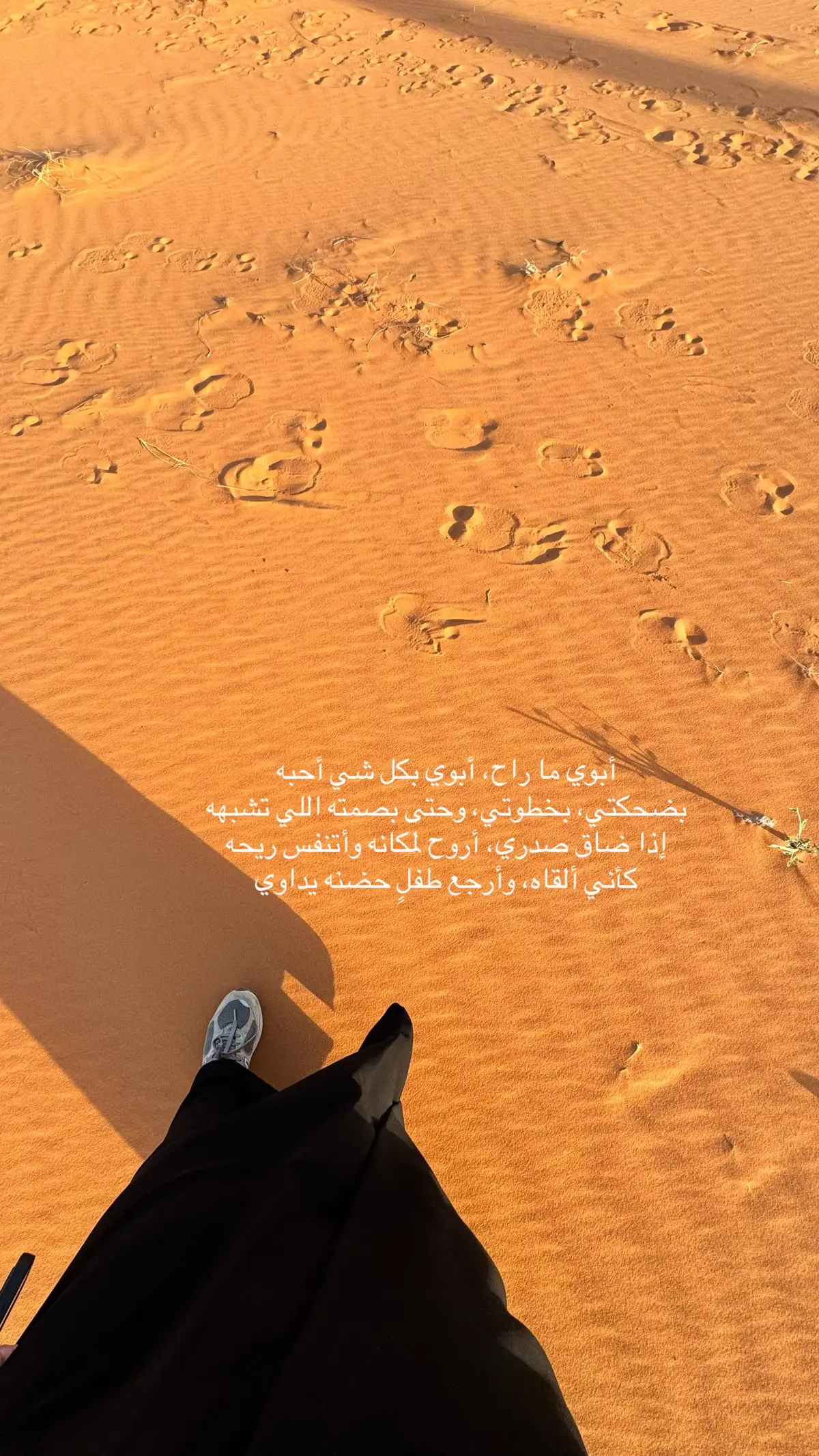 #اكسبلور 