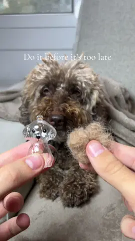 If you have a dog you must do this before it’s too late ❤️🐾  #dog #dogowner #dogmom #petloss #petmemorial 