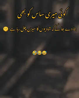 🤫shadiyo ka session chal ra hai😅 dear TikTok team Don't under review my video #dontunderreview #viral #onlyforyoupage #foryou #funnypoetry 