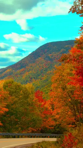 Cabot Trail, Cape Breton NS 😍 #cabottrail #capebreton #fall 