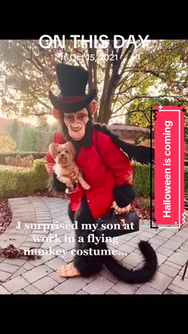 Boy, this was honestly one of my favorite days ever! My son was so embarrassed. Only a few months on the job and mom comes out of the woodwork. ##onthisday##HalloweenCostume##HalloweenIdea##FlyingMonkey##halloweenlook @@Pamela Santangelo