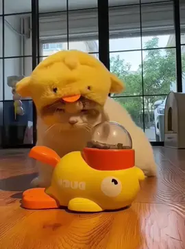 Đồ ăn đây mấy em ơi #vit #dog #cat #xuhuong #trending 