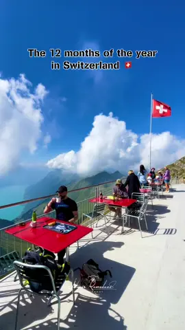The 12 months of the year in Switzerland #switzerland #jetmirinswitzerland #video #tiktok #viral 