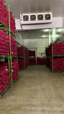 Ngadem lah ning jaba panas#sumberbawangindotrading #sumberbawangjk #jkgroup #bawangmerah