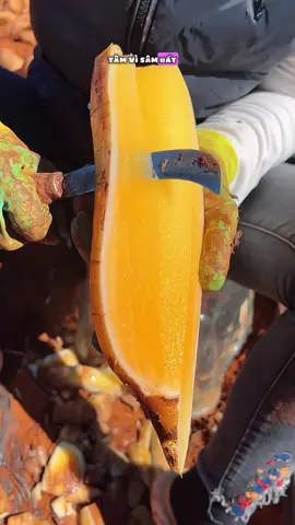 Khoai Sâm Đất 5kg ( củ to) #cusamdat #cusamdatlaocai #khoaisamdattaybac #samdat #samdattaybac 