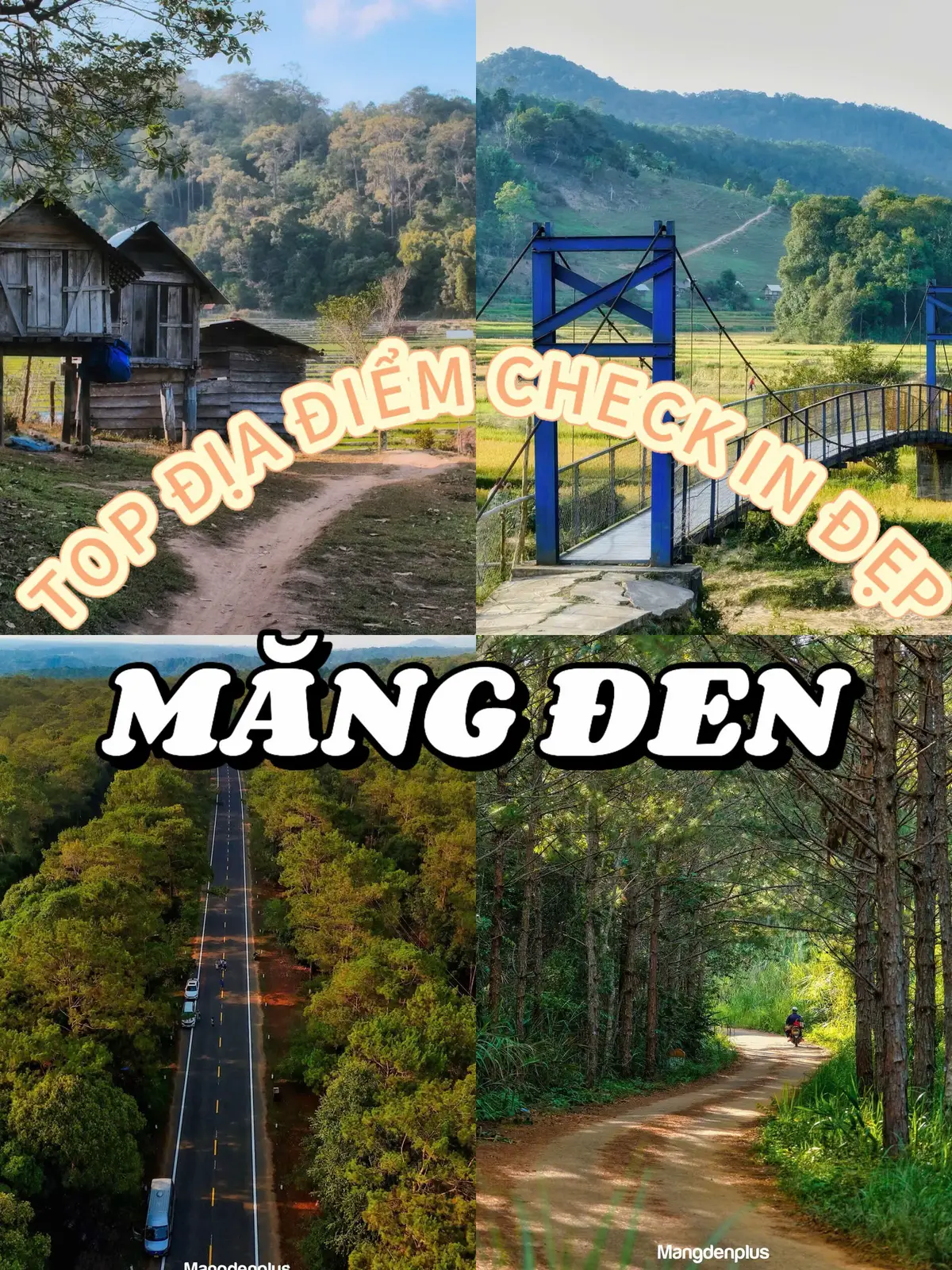 Nhất định phải check in con đường thông Măng Đen nhé #mangden #mangdentravel #xuhuong #reviewmangden 