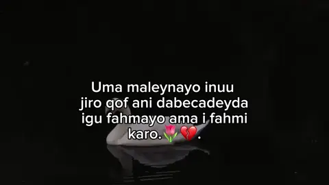 🌷💔#fyp #idman🌷 #شعب_الصيني_ماله_حل #idman💕♾️ #fouryou 