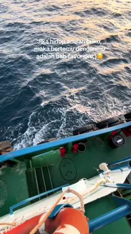 Storywa #pelautindonesia#cintadariseberang#soundviral#pelautpunyacerita #fypシ゚viral🖤tiktok ☺️☺️☺️🤭