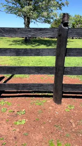 #milongaabaixodemautempo  #musicagaucha  #riograndedosul 