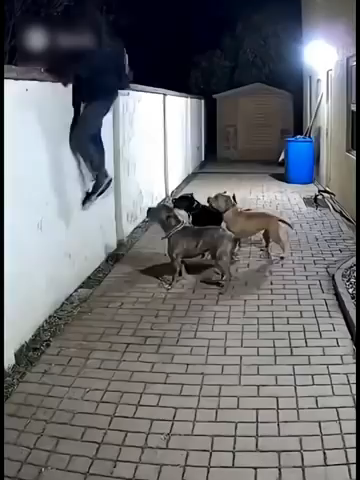 Qual o NOME DO FILME? 😳😳😳