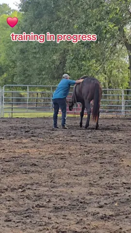#horselovers #countrylife #louisianagirl 