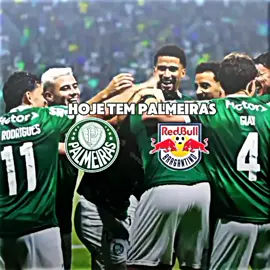 hoje tem palmeiras vamos em busca de 3 pontos #palmeiras #fy #foryou #viral #fyp 