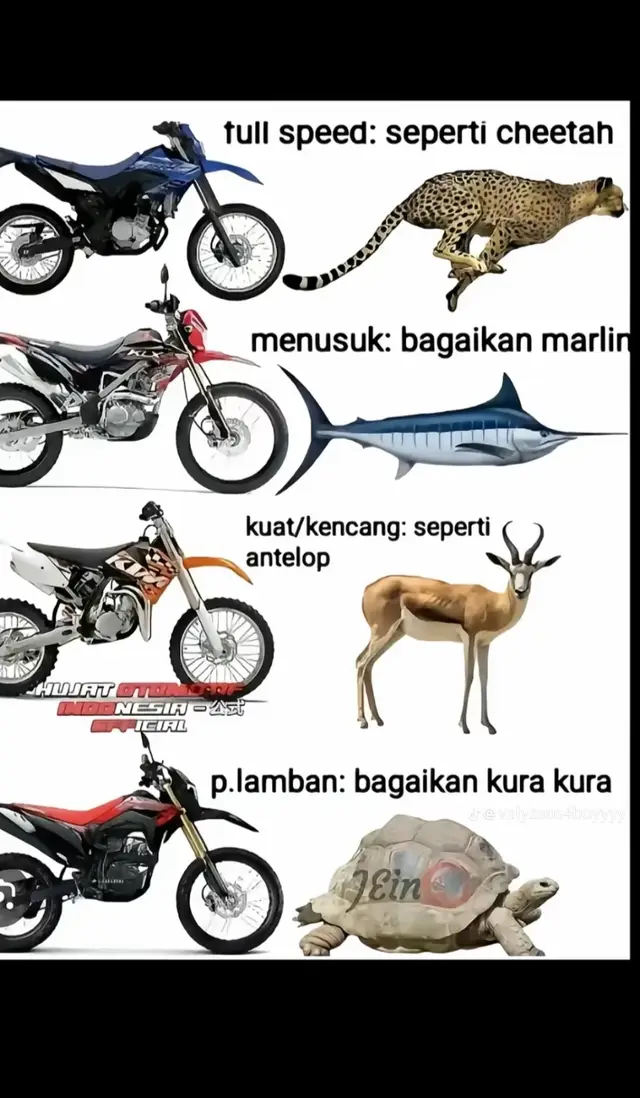 #wr155supermoto #fyp #fyp #fyp #fyp wewwwww