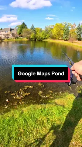 #fishing #fyp #fishtok