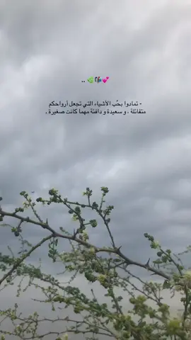 .. 🌿📬💕 - تمادوا بحُب الأشياء التي تجعل أرواحكم متفائلة ، و سعيدة و دافئة مهما كانت صغيرة .🌿💕#خواطر_من_القلب #الطبيعة 