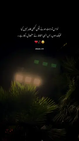 اُداس تو بہت ہوئے لیکن کبھی ظاہر نہیں کیا ❤️‍🩹#videos #status #esthetics 