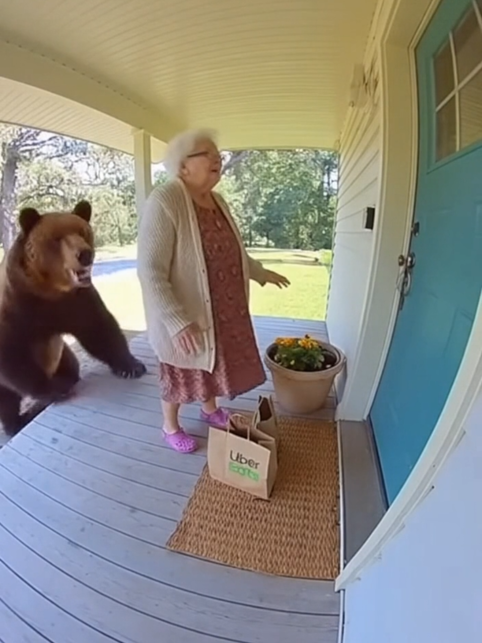 You won't believe this... 🫢 #grandma #bear #funny #fyp #fart #teddy #teddybear #viral #granny #ubereats #delivery  #fyppppppppppppppppppppppp 