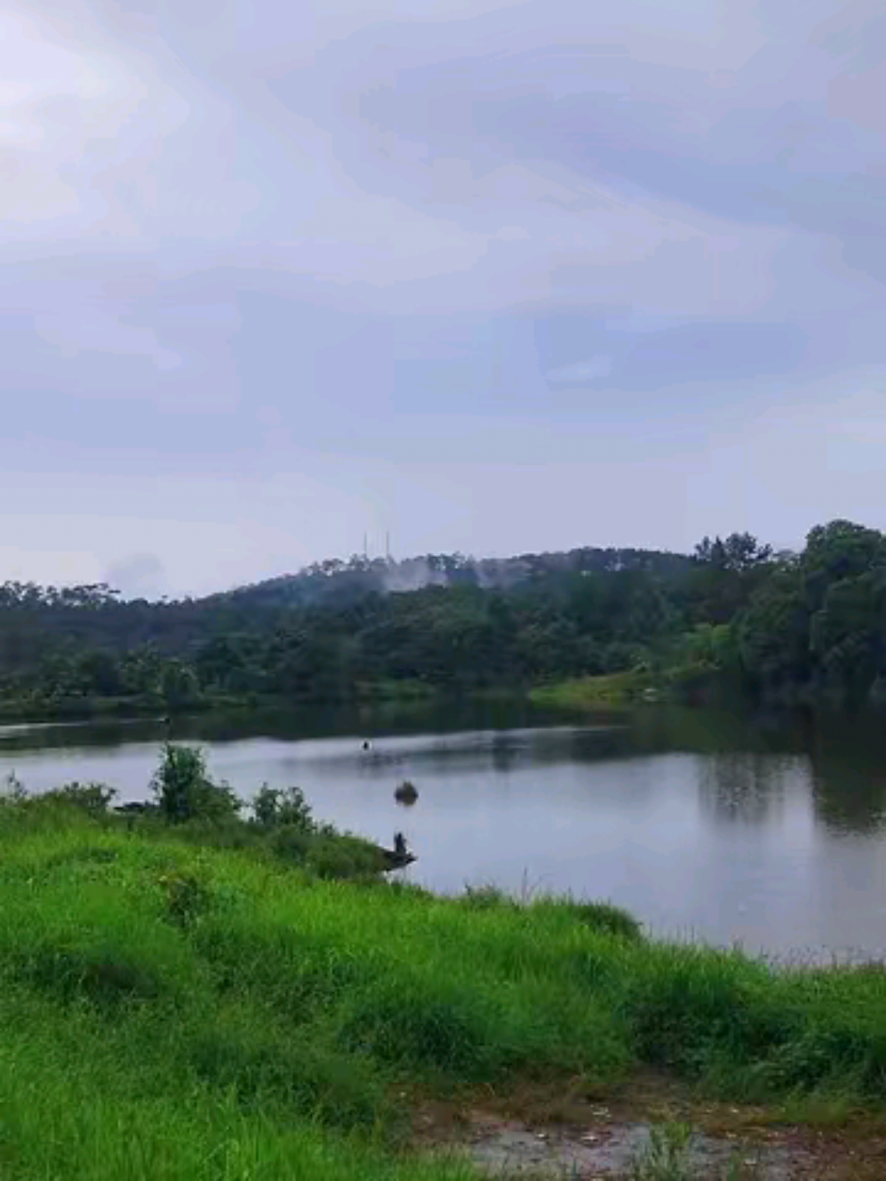 ស្ងាត់ឈឹង🥹🍃🌿#ចំការតែគីរីរម្យ🌲🌳🏕 #kirirom_nationalpark🇰🇭 #បឹងចំការតែគីរម្យ 