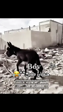 استغفر الله ههههههههههههههههههههههههههههههههههههههههههههههههههههههههههههههه #CapCut #اكسبلور #اكسبلورexplore #🛜 