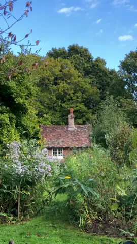 A hidden cottage in the woods                                                                                                                                                                                                                         #cottagecore #flowers #nature #fall #walk