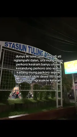 #jowokuciwoo 
