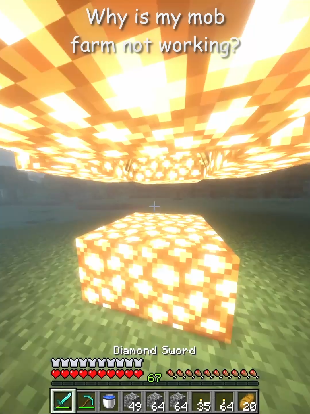 Maybe i need more water? #Minecraft #minecraftmemes #memecut #fyp