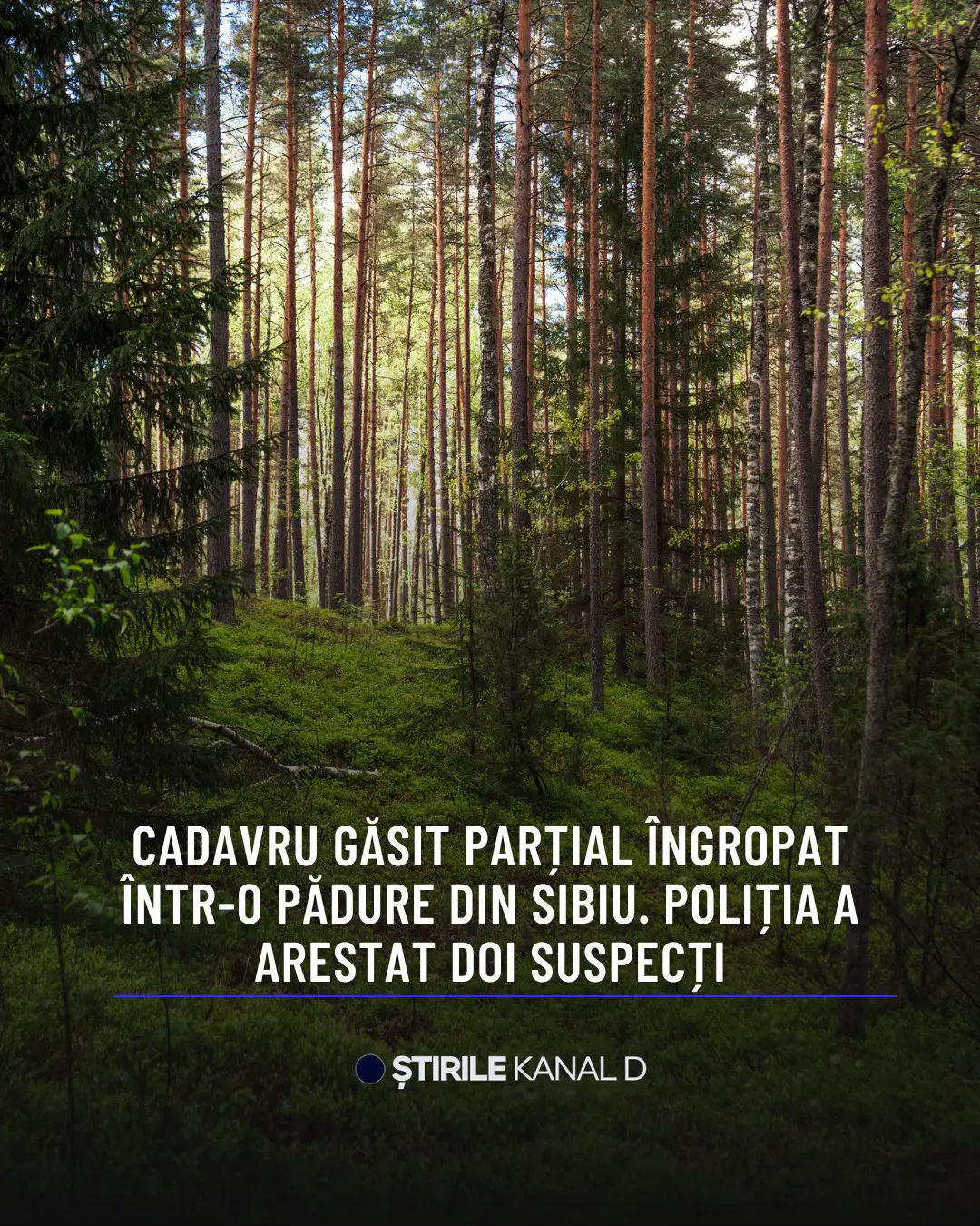 ”Prin ordonanţa procurorului din cadrul Parchetului de pe lângă Tribunalul Sibiu din data de 29.09.2025 s-a dispus punerea în mişcare a acţiunii penale faţă de autor sub aspectul comiterii infracţiunii de omor, iar prin ordonanţa procurorului din aceeaşi dată s-a dispus reţinerea acestuia pentru 24 de ore. În data de 30.09.2025 a fost înaintată Tribunalului Sibiu propunerea de arestare preventivă a autorului, judecătorul de drepturi şi libertăţi din cadrul Tribunalului Sibiu dispunând arestarea acestuia pe o durată de 30 de zile.  Prin ordonanţa procurorului din cadrul Parchetului de pe lângă Tribunalul Sibiu din data de 09.10.2025 s-a dispus extinderea acţiunii penale faţă de autoare sub aspectul comiterii infracţiunii de omor, iar prin ordonanţa procurorului aceeaşi dată s-a dispus reţinerea acesteia pentru 24 de ore.  În data de 10.10.2025 a fost înaintată Tribunalului Sibiu propunerea de arestare preventivă a autoarei, judecătorul de drepturi şi libertăţi din cadrul Tribunalului Sibiu dispunând arestarea acesteia pe o durată de 30 de zile”, a comunicat Parchetului de pe lângă Tribunalul Sibiu. #stirilekanald #kanaldromania #dailynews #newsoftheday #showbiz 