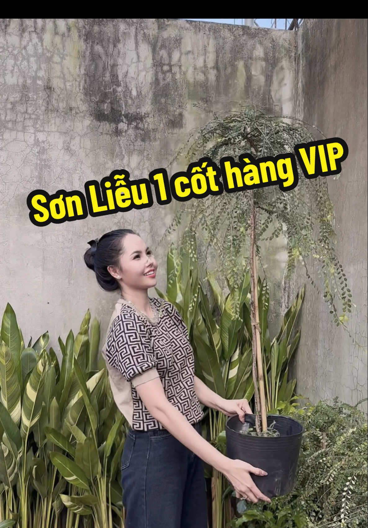 Sơn Liễu 1 cốt hàng đẹp 🌿🌿🌿#xuhuongtiktok #xaykenhtiktok #langhoasadec #mientay #kiengla 