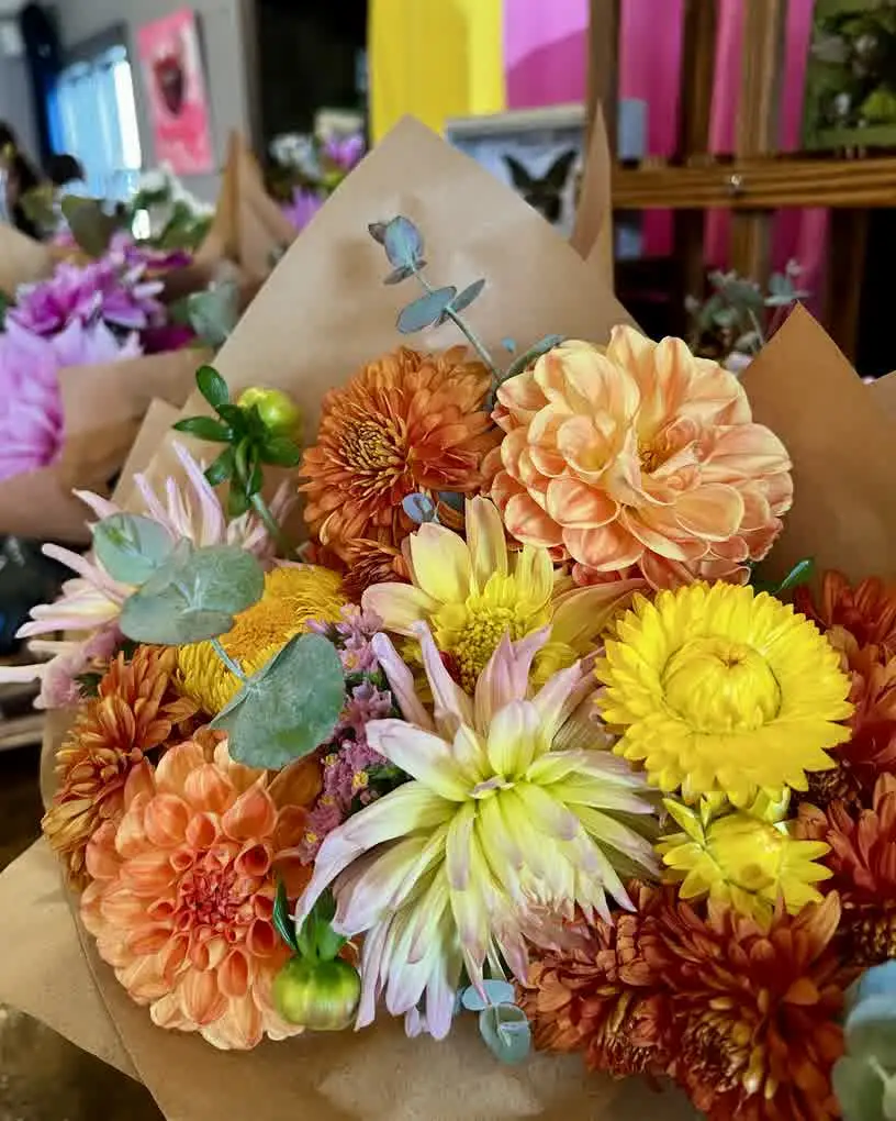 Flowers are calling fall early 🍂—spotted at David’s Delicatessen & Coffee. Cozy tones + seasonally fresh (veg-friendly!) sandwiches = perfect autumn vibes. More planty check-ins in my app—link in bio. #FallColors #AutumnVibes #LocalFood #SeasonalEating #SouthwestMichigan