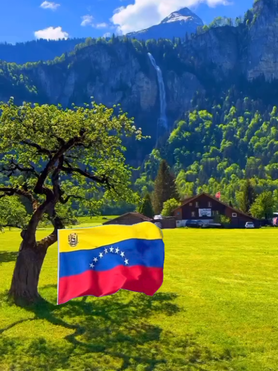 canciones de mi tierra#canta El gallito el nieto de Chávez