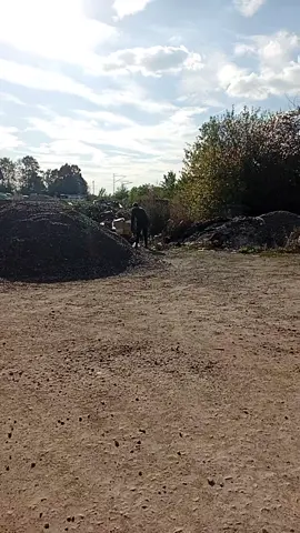 #fyp #foryou #viraltiktok #worklife 