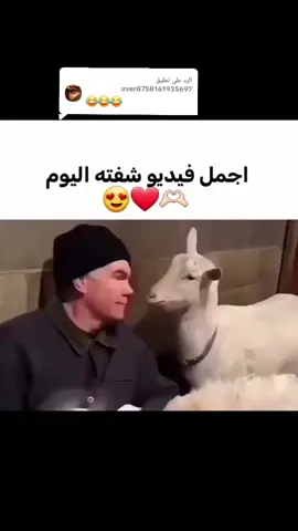 الرد على @user8758161935697 #CapCut #rojan8880 #fyp #الشعب_الصيني_ماله_حل😂😂 