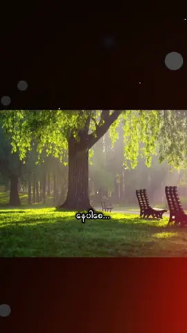 #အချစ်လို့ထင်တယ်#songs #music #feeling 