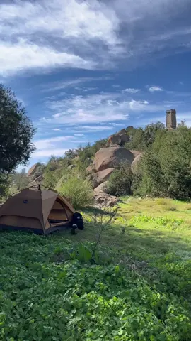 صباحات الشتاء الباردة 🌳. #albaha #quran #explore #تخييم 