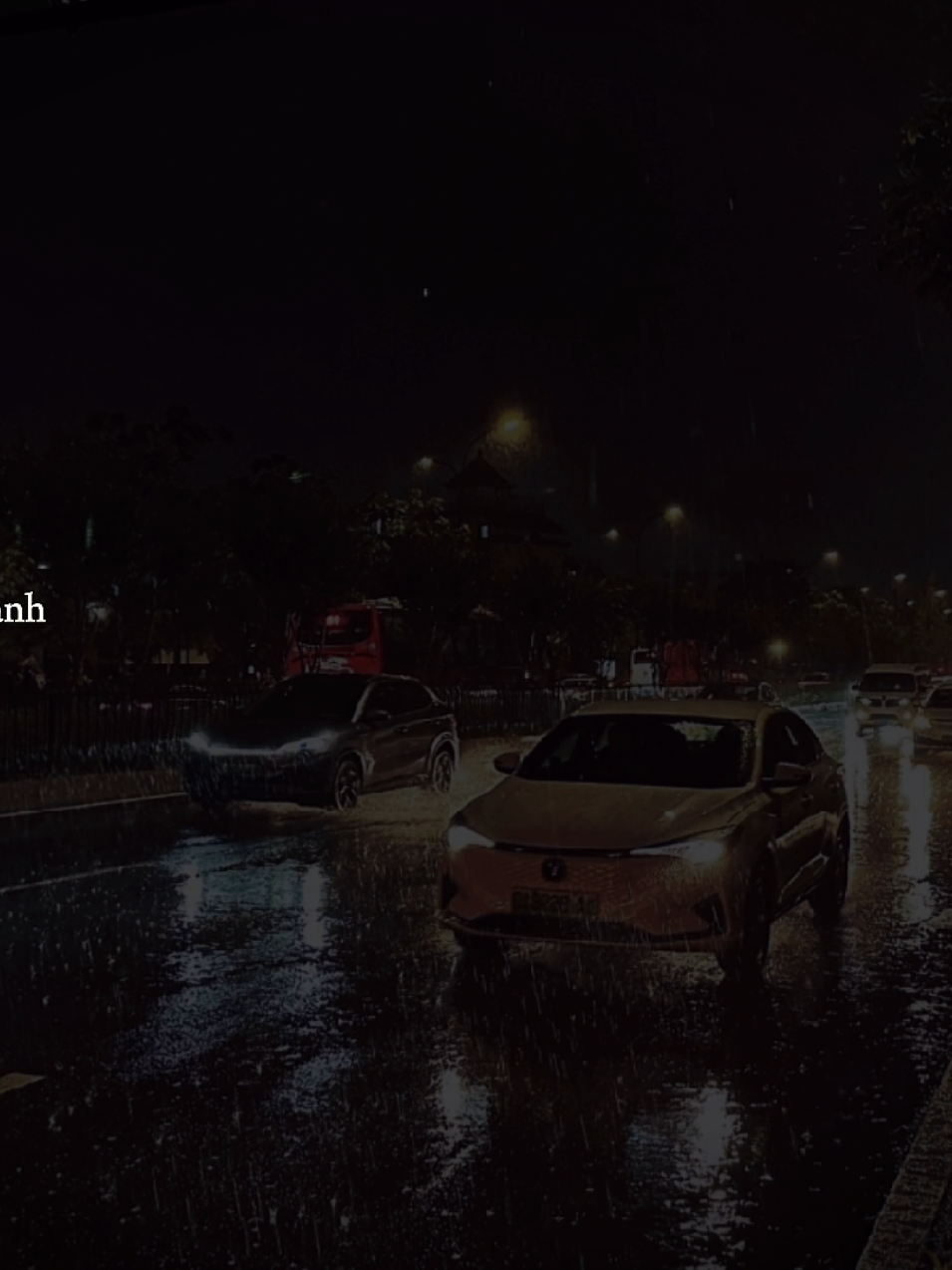 Gửi em người anh yêu dấu...!#nhachaymoingay #nhactamtrang #tamtrang 