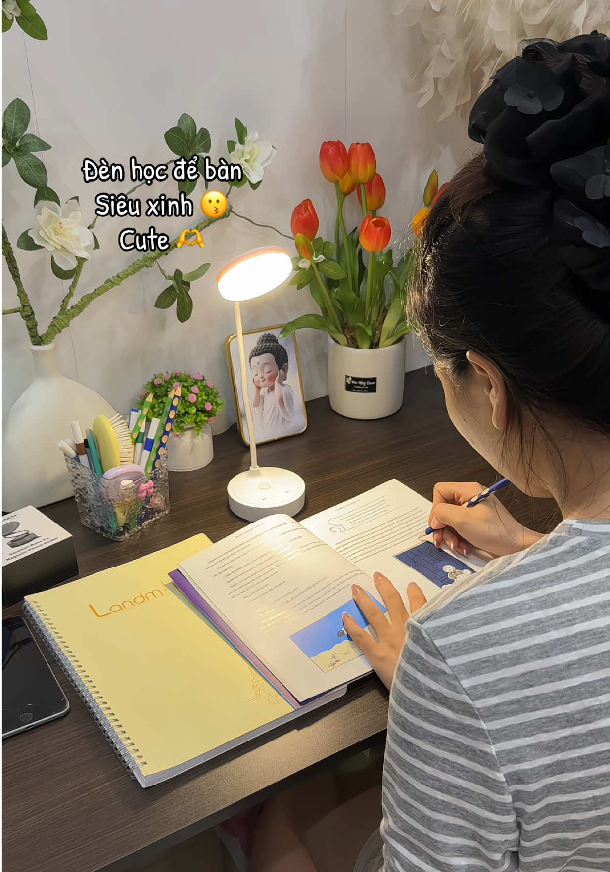 Đèn học mini để bàn siêu xinh luôn , 3 chế độ đèn #denhoc #denhocdeban #denhocmini 