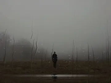 انا منستهوش كل ده...  #المحتوى_للمستمعين_بدون_موسيقى #بدون_موسيقى #اغاني_بدون_موسيقى #هواجيس #ترند