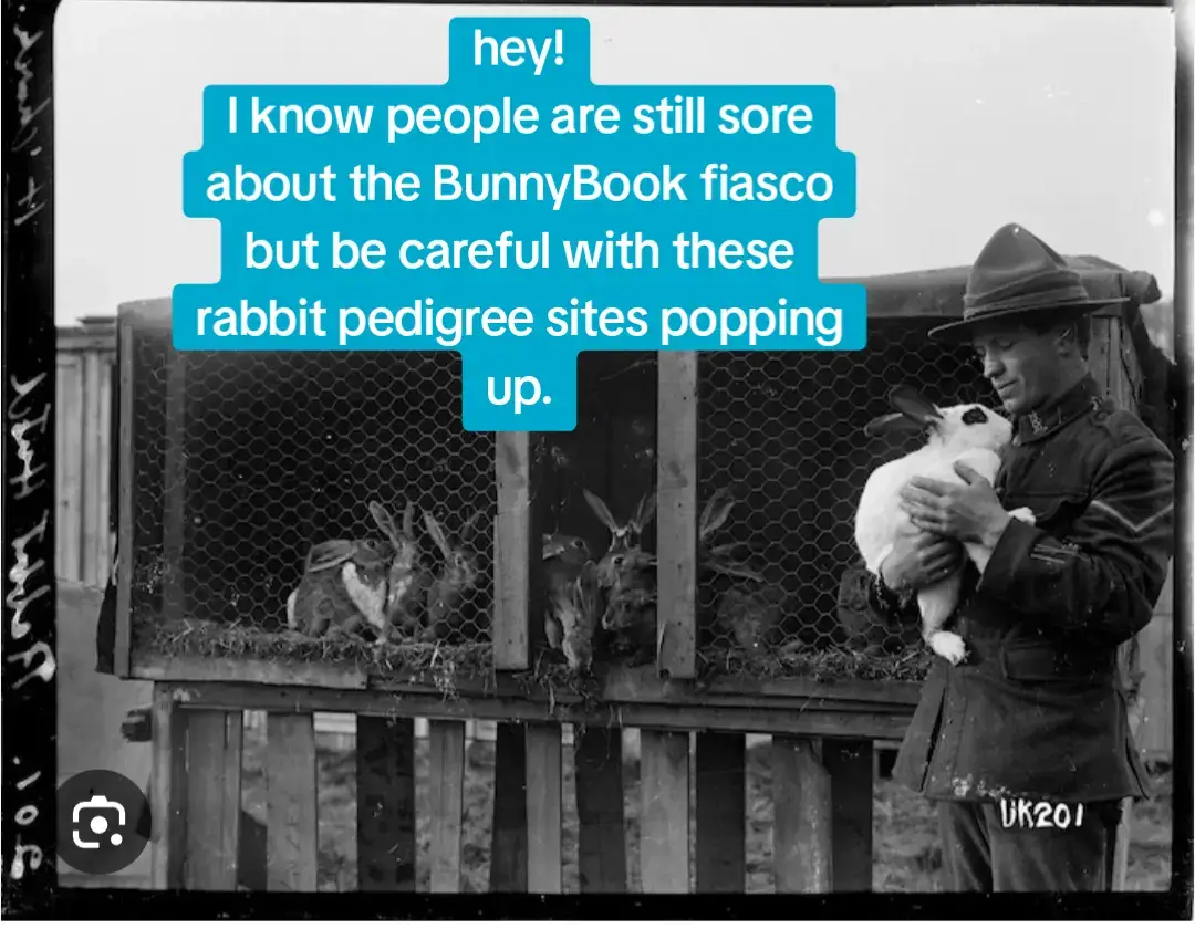 This isn't an ad for any subscription based service. Be careful who you give your 💳 too.  #arba #pedigrees #showrabbit #meatrabbits #rabbitpedigrees 