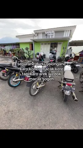 opo anane mawon🥰#4u #masukberandafyp #kolorijo_🔫 