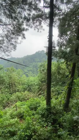 atas bawah pemandangan cantik🌲⛰️ #bogortreetopziplineadventure #flyingfox #explorebogor #fyp #4u 