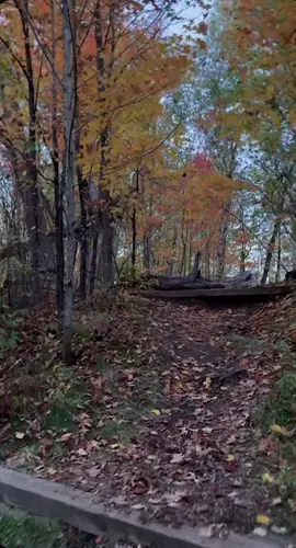 #عاصي_الحلاني #يمكن #Sing_Oldies #🤍 #🕊️ 