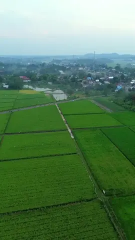 FTV ala MUSI RAWAS (VIDEO BOLEH DI AMBIL TANPA WATERMARK)  #wisatamusirawas #musirawas #cinematikdrone #cinematikvideo #cinematikvideo 